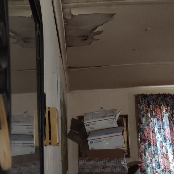 Hi I'm Heather, and I need a new roof - Picture 2 of 3